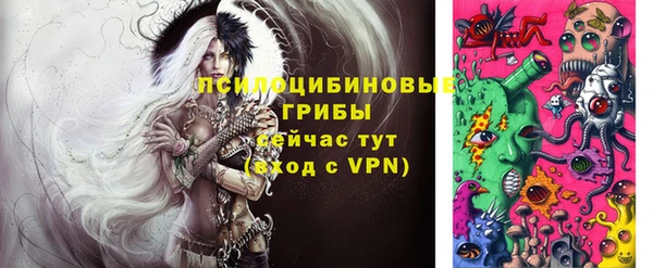 ГАЛЛЮЦИНОГЕННЫЕ ГРИБЫ Дмитровск