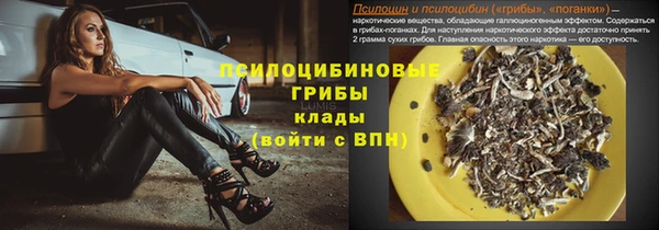 ГАЛЛЮЦИНОГЕННЫЕ ГРИБЫ Дмитровск